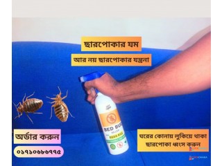 Bed bug killer spray