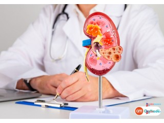 Premier Kidney Treatments in India – GoMedii