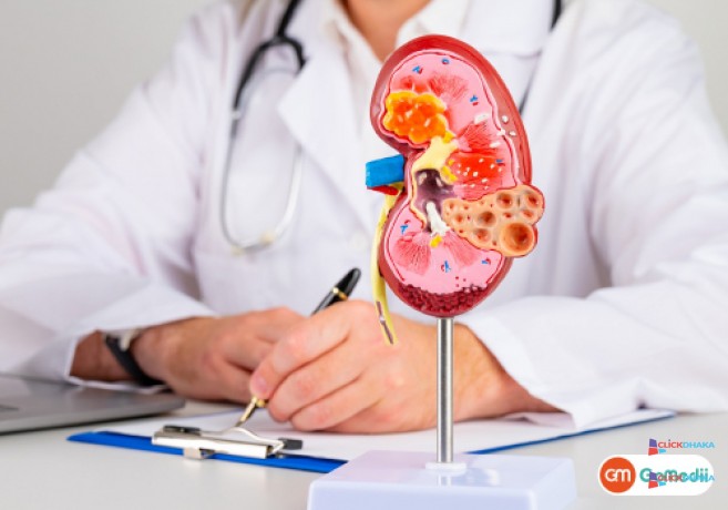 premier-kidney-treatments-in-india-gomedii-big-0