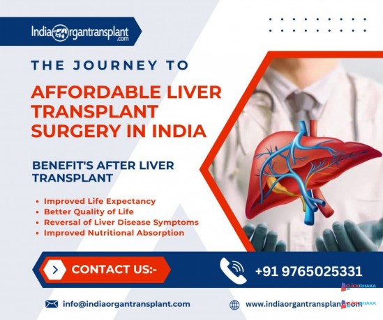 top-12-best-liver-transplant-doctors-in-india-big-0