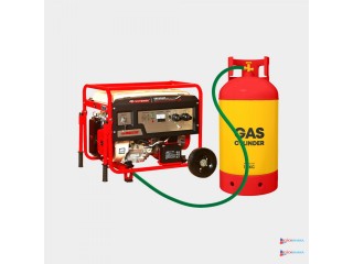 SH POWER 5.5KW Gas/LPG/Dual Fuel Generator SH6500ES-DF