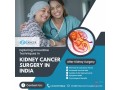 top-kidney-cancer-hospitals-of-india-small-0