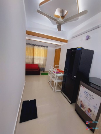 rent-furnished-1bhk-apartment-for-a-premium-experience-in-bashundhara-ra-big-1