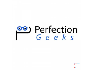 Web Development Company - PerfectionGeeks