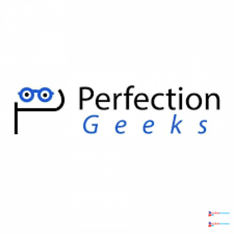 web-development-company-perfectiongeeks-big-0