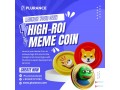 empower-your-crypo-meme-coin-journey-with-plurance-meme-coin-development-small-0