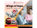 book-our-panchmukhi-air-and-train-ambulance-services-in-delhi-with-life-saving-feature-small-0