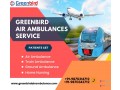 hire-greenbird-air-and-train-ambulance-services-in-delhi-with-a-specialized-medical-team-small-0