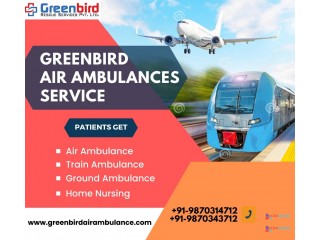 Hire Greenbird Air and Train Ambulance Services in Delhi with a Specialized Medical Team