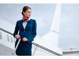 Hostess-Flight Manager- Attendance-Cabin crew-Airline Job