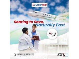 Hire Life-Saving Medical Air and Train Ambulance Services in Delhi by Greenbird