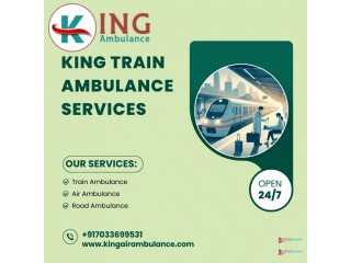 High-level Medical Teams are included in the King Train Ambulance in Patna