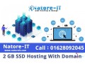 natore-it-is-the-best-domain-hosting-company-small-0