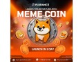 plurance-your-one-stop-solution-for-meme-coin-success-small-0