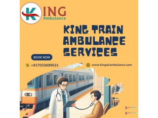 Paramedics and EMTs Available in King Train Ambulance Patna