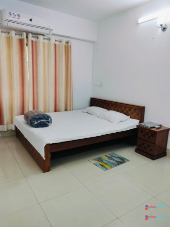 rent-furnished-two-bedroom-apartment-for-a-premium-experience-in-bashundhara-ra-big-1